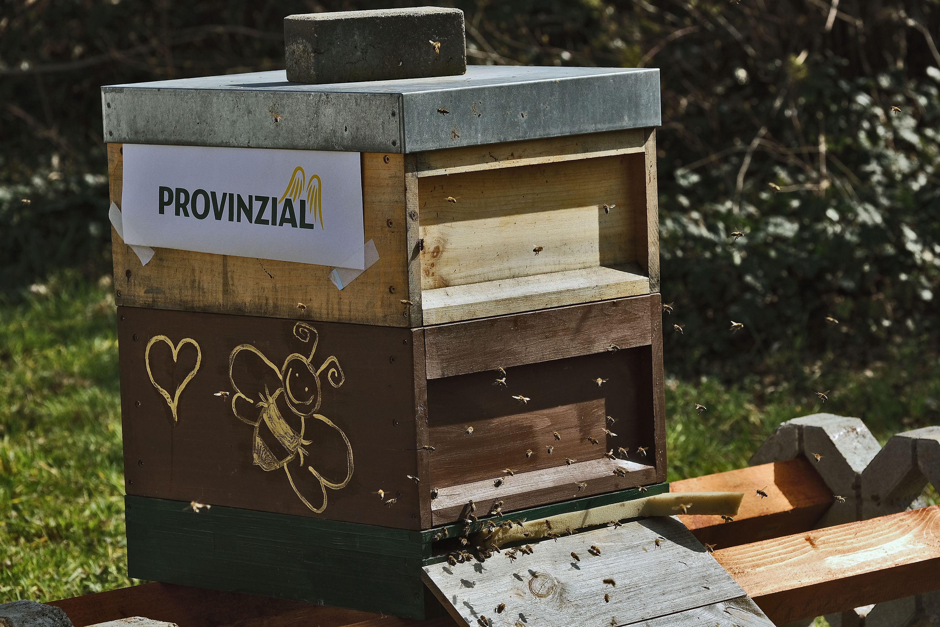 Nachhaltigkeit | Rettet die Bienen