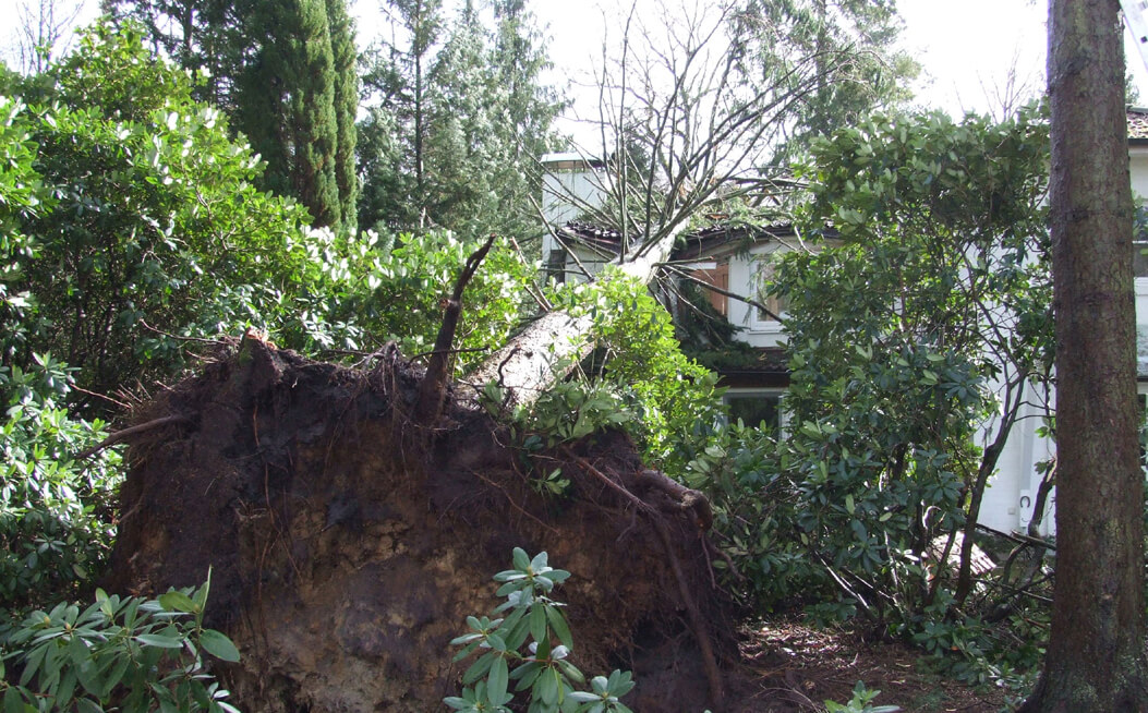 Sturmschaden im Mai 2015